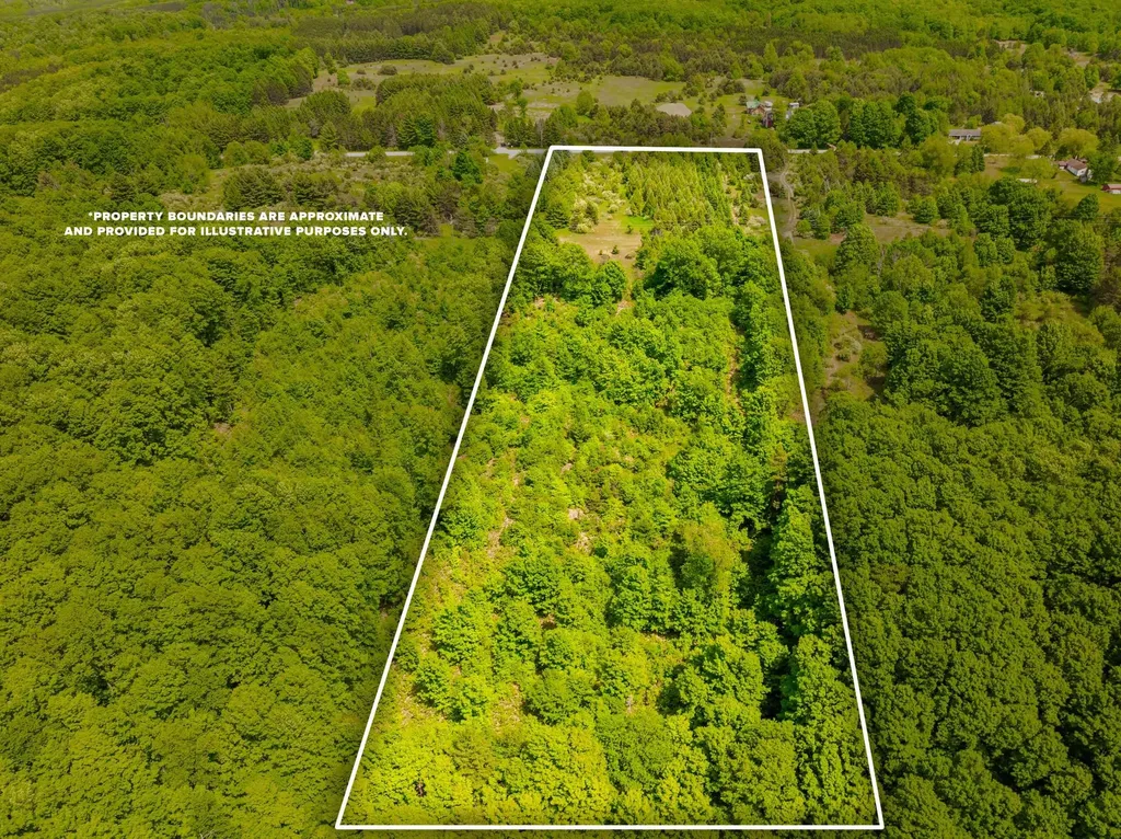 Tbd Traverse Road Colfax Township MI 49683