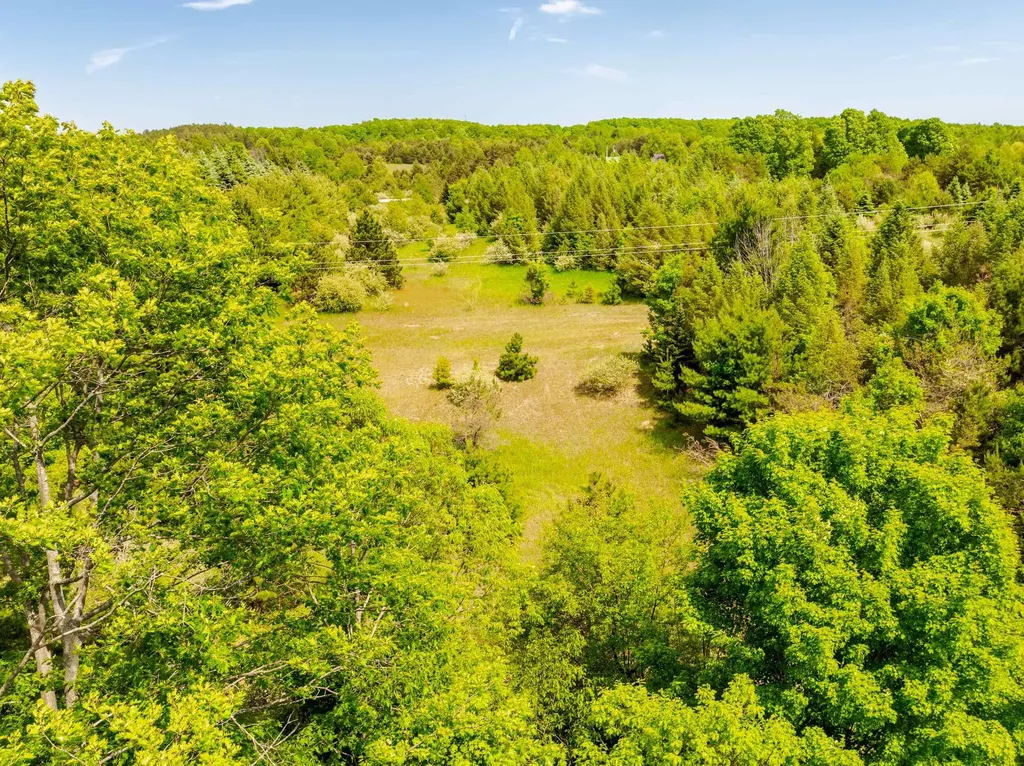 Tbd Traverse Road Colfax Township MI 49683