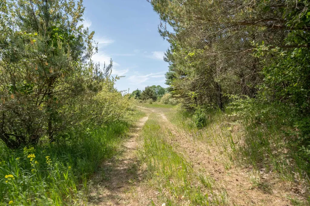 Tbd Traverse Road Colfax Township MI 49683