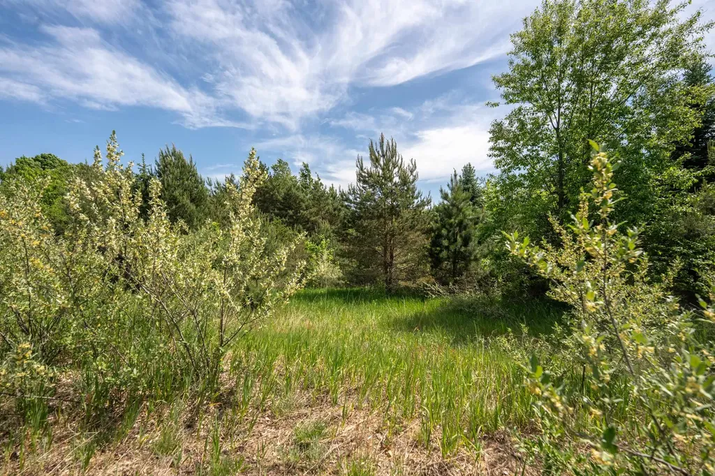 Tbd Traverse Road Colfax Township MI 49683
