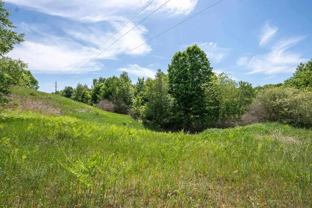 Tbd Traverse Road Colfax Township MI 49683