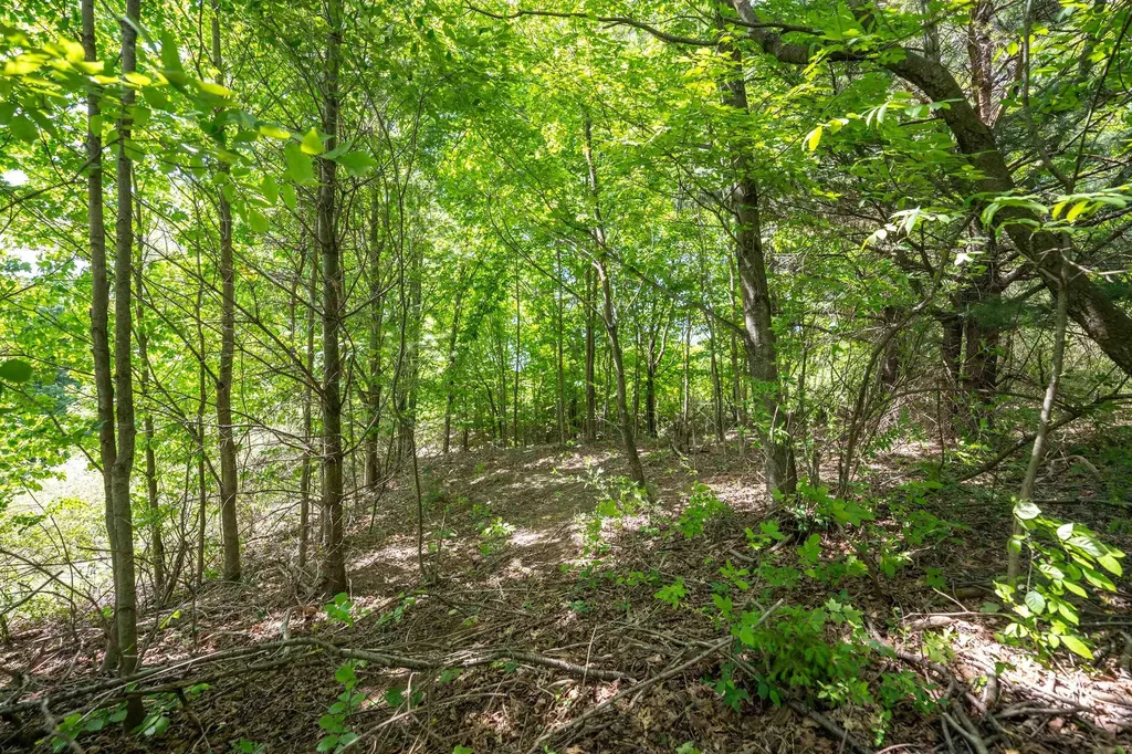 Tbd Traverse Road Colfax Township MI 49683
