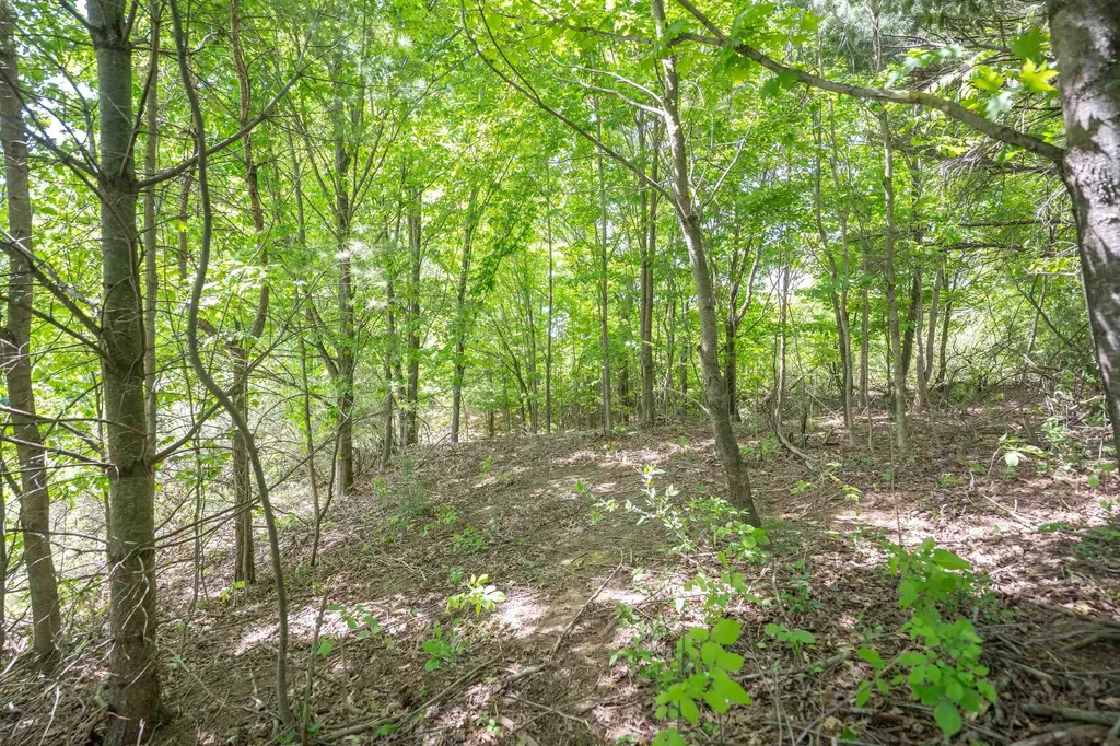 Tbd Traverse Road Colfax Township MI 49683