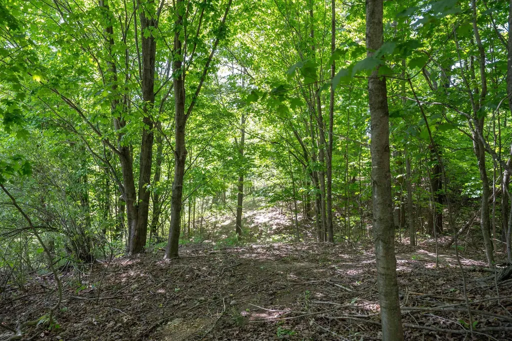 Tbd Traverse Road Colfax Township MI 49683