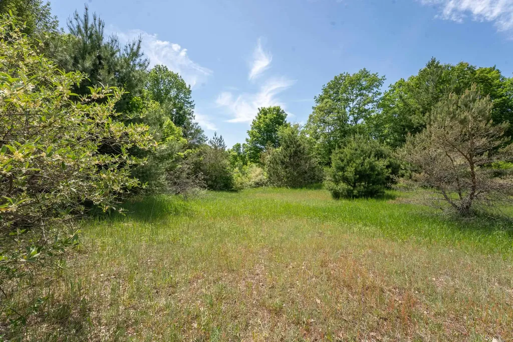 Tbd Traverse Road Colfax Township MI 49683