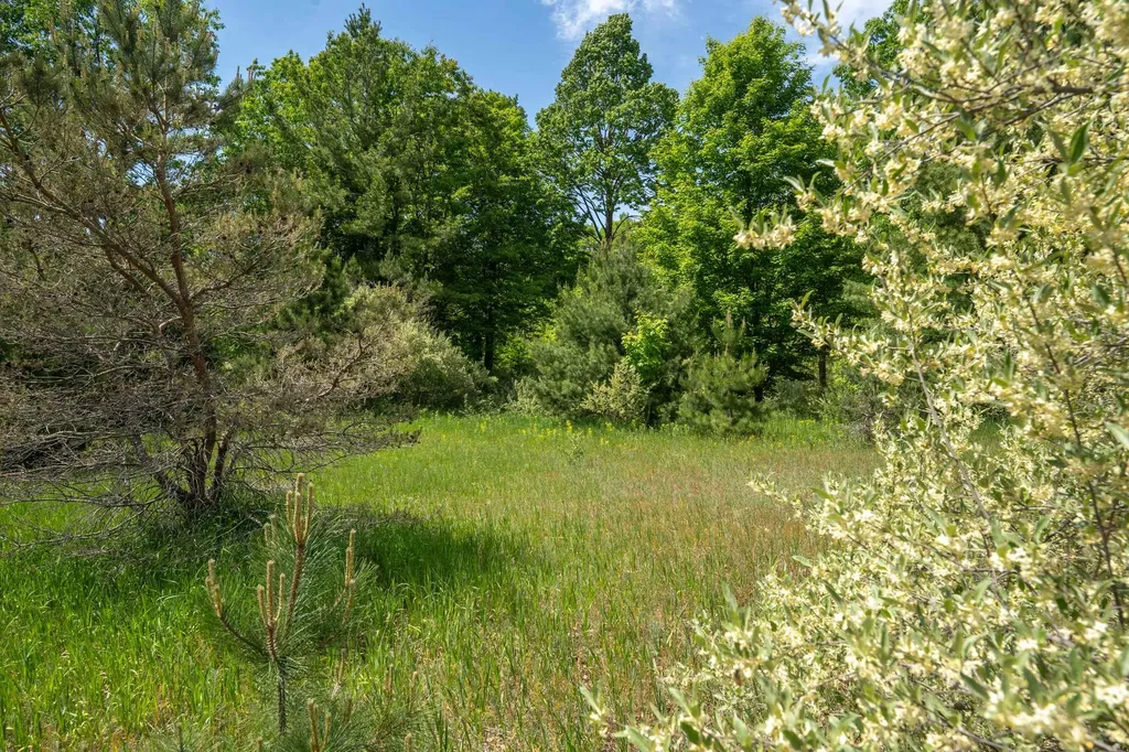 Tbd Traverse Road Colfax Township MI 49683