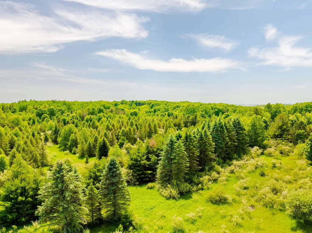 Tbd Traverse Road Colfax Township MI 49683