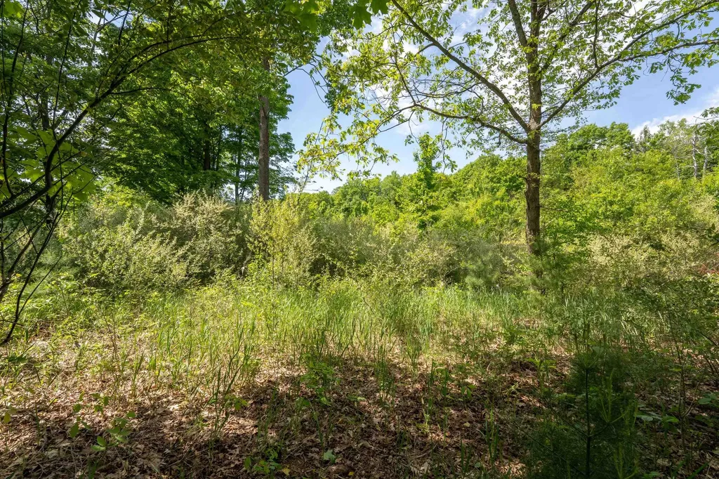Tbd Traverse Road Colfax Township MI 49683