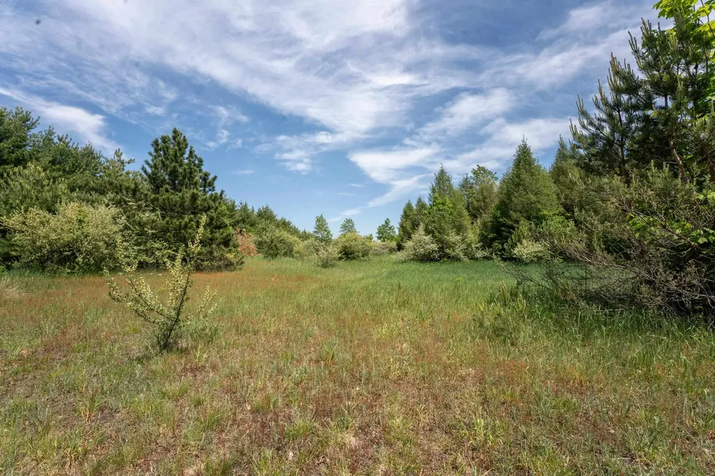 Tbd Traverse Road Colfax Township MI 49683