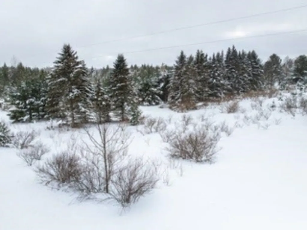 Tbd Traverse Road Colfax Township MI 49683