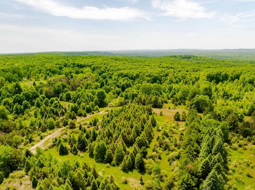 Tbd Traverse Road Colfax Township MI 49683