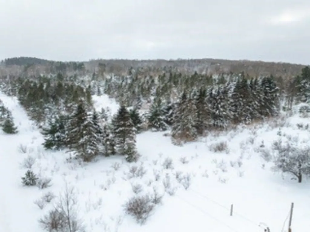 Tbd Traverse Road Colfax Township MI 49683