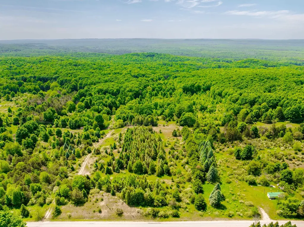 Tbd Traverse Road Colfax Township MI 49683