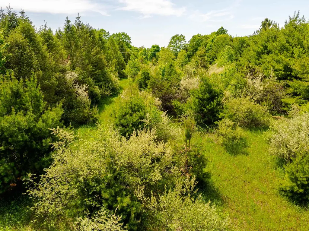 Tbd Traverse Road Colfax Township MI 49683