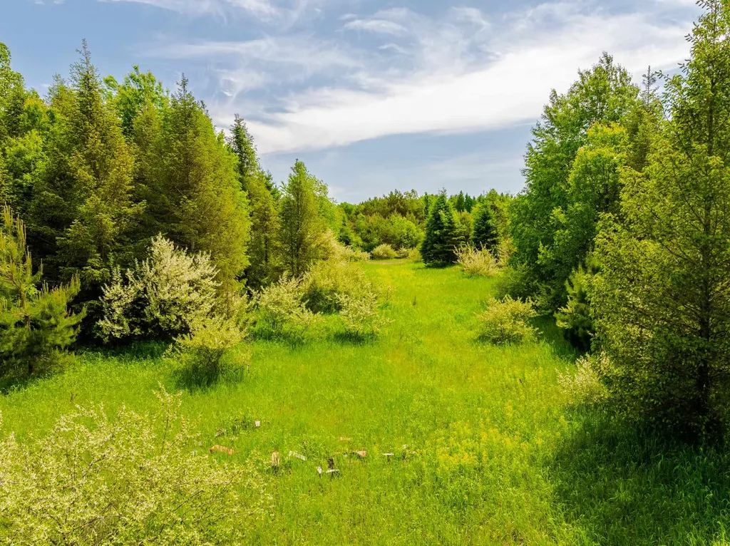 Tbd Traverse Road Colfax Township MI 49683