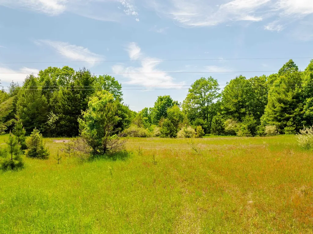 Tbd Traverse Road Colfax Township MI 49683
