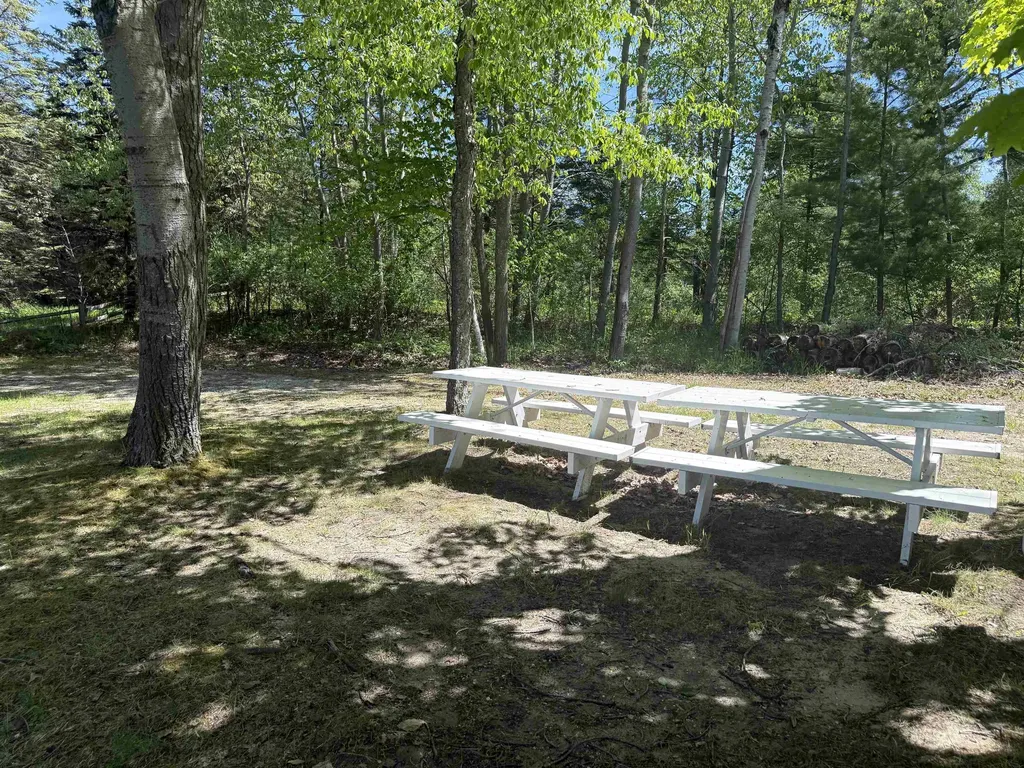 8923 SE Torch Lake Drive Helena Township MI 49612