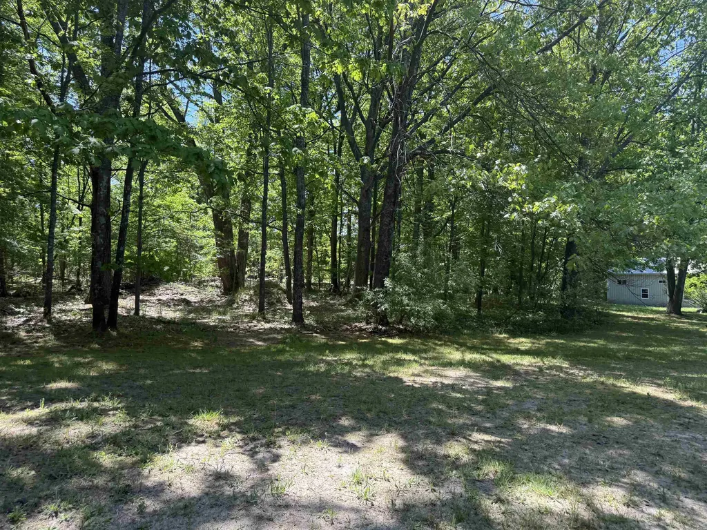 8923 SE Torch Lake Drive Helena Township MI 49612