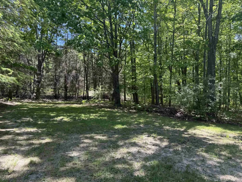 8923 SE Torch Lake Drive Helena Township MI 49612