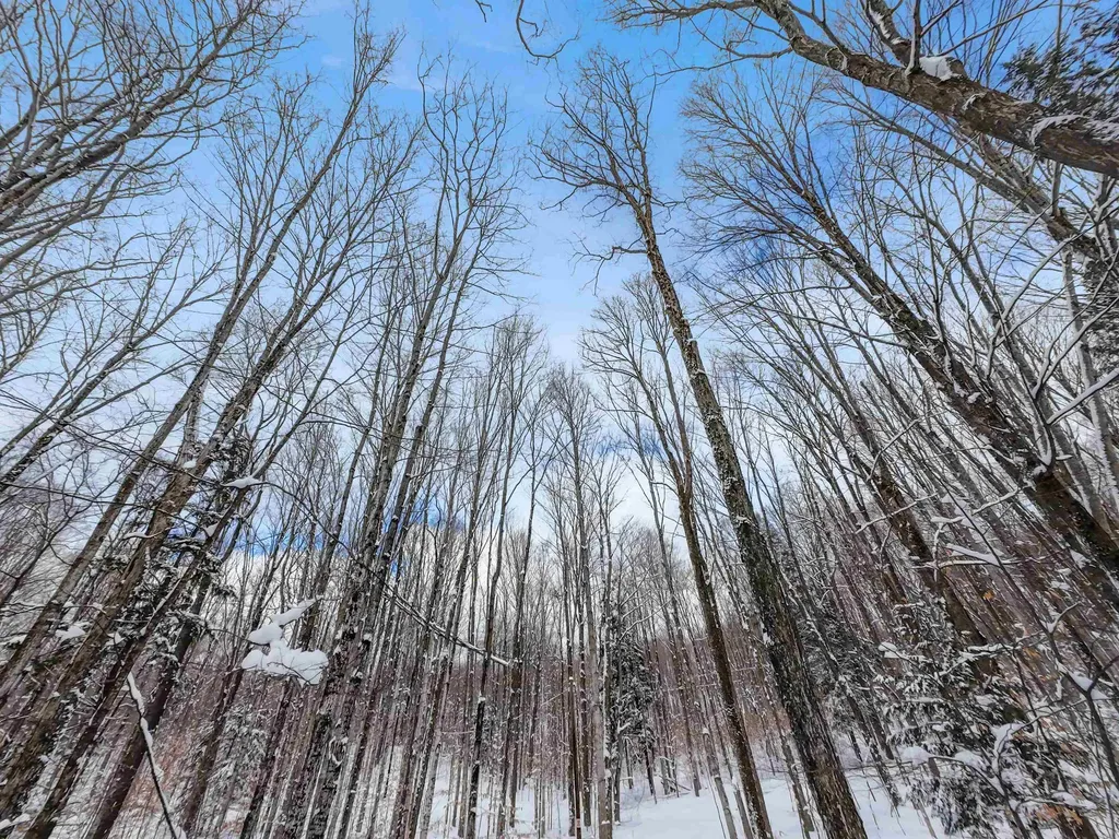 2370 Alden Highway Custer Township MI 49659