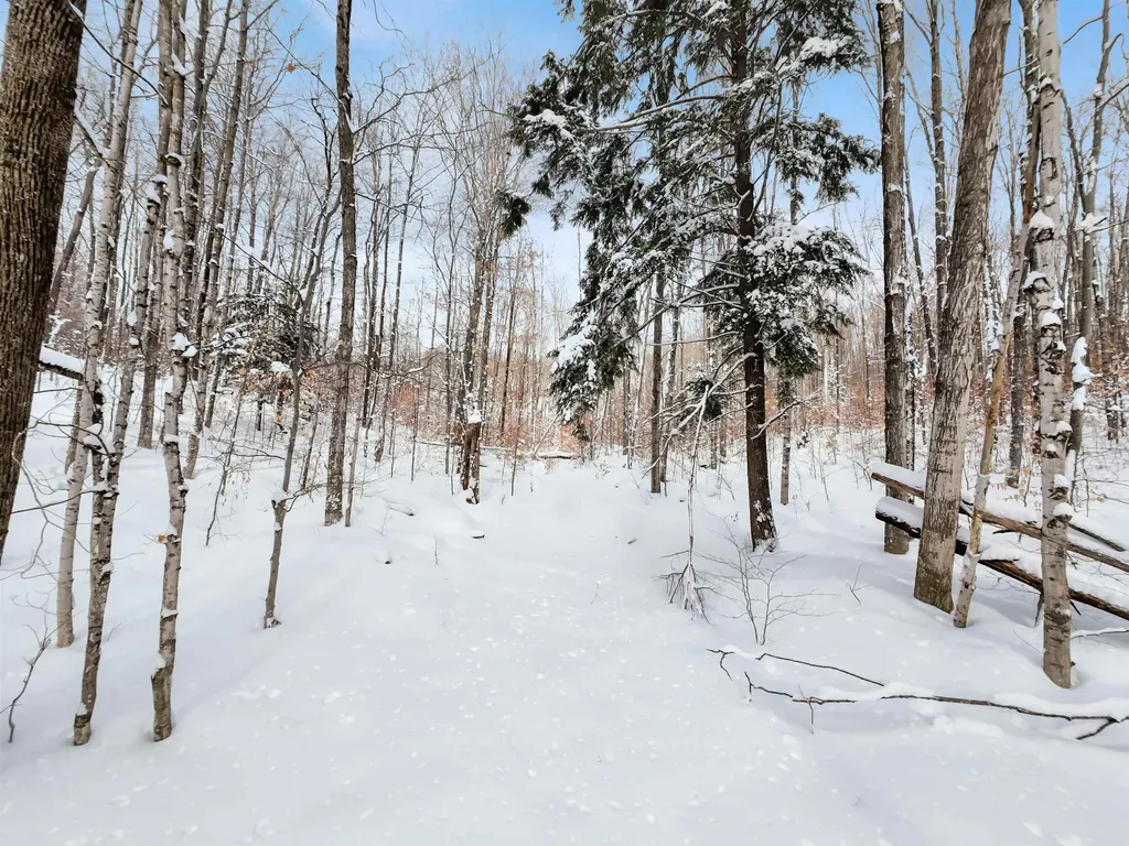 2370 Alden Highway Custer Township MI 49659