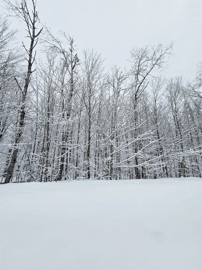 394 Pinedale Drive Star Township MI 49730