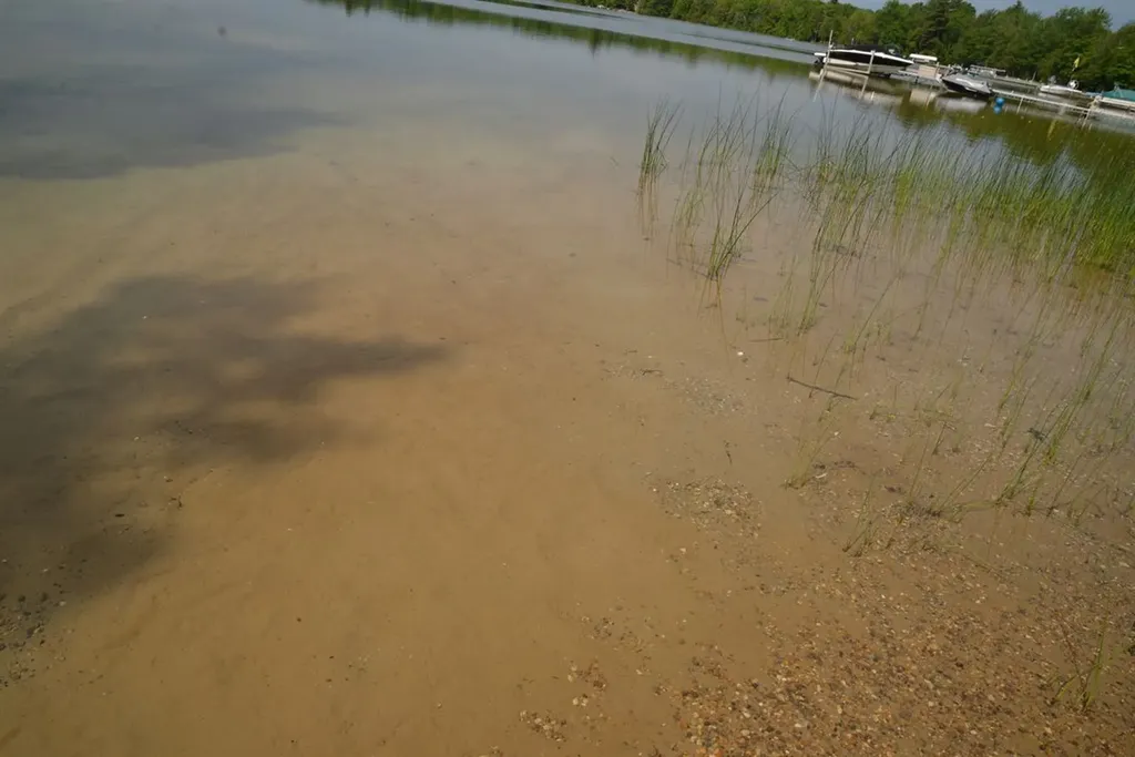 000 Birch Pointe Drive Elk Rapids Township MI 49648