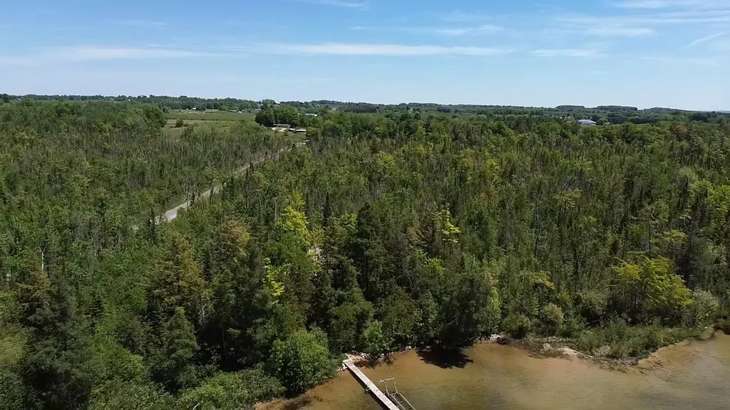 000 Birch Pointe Drive Elk Rapids Township MI 49648