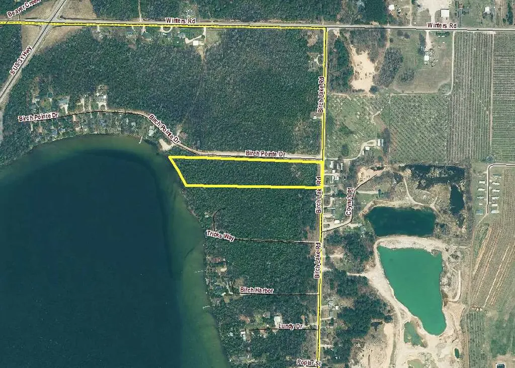 000 Birch Pointe Drive Elk Rapids Township MI 49648