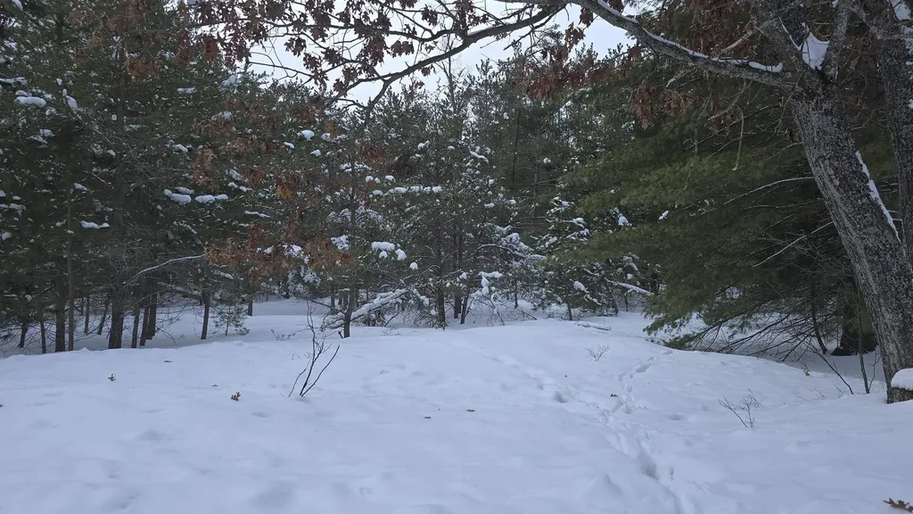 Ville Longfield Drive Greenwood Township MI 49756