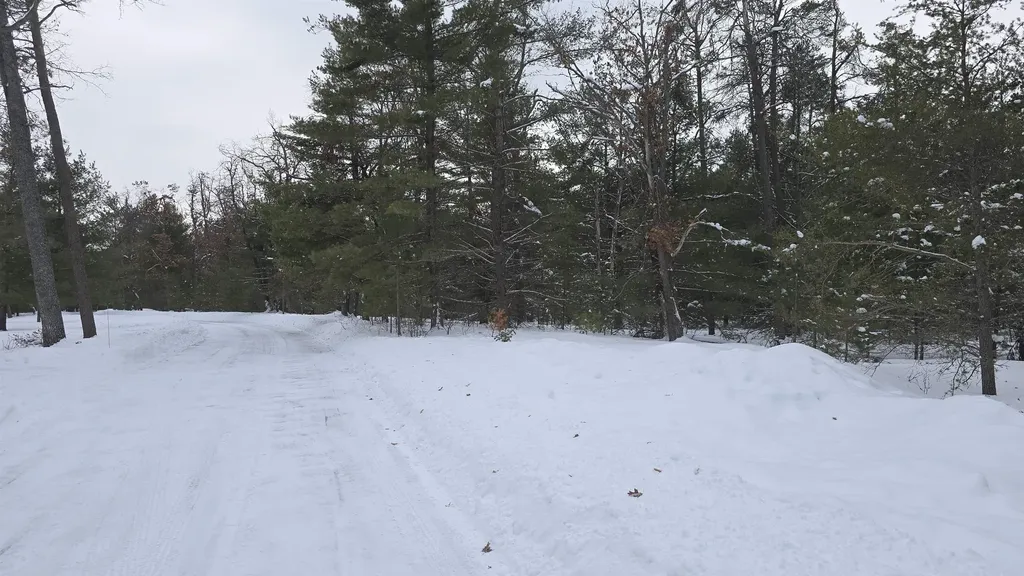 Ville Longfield Drive Greenwood Township MI 49756