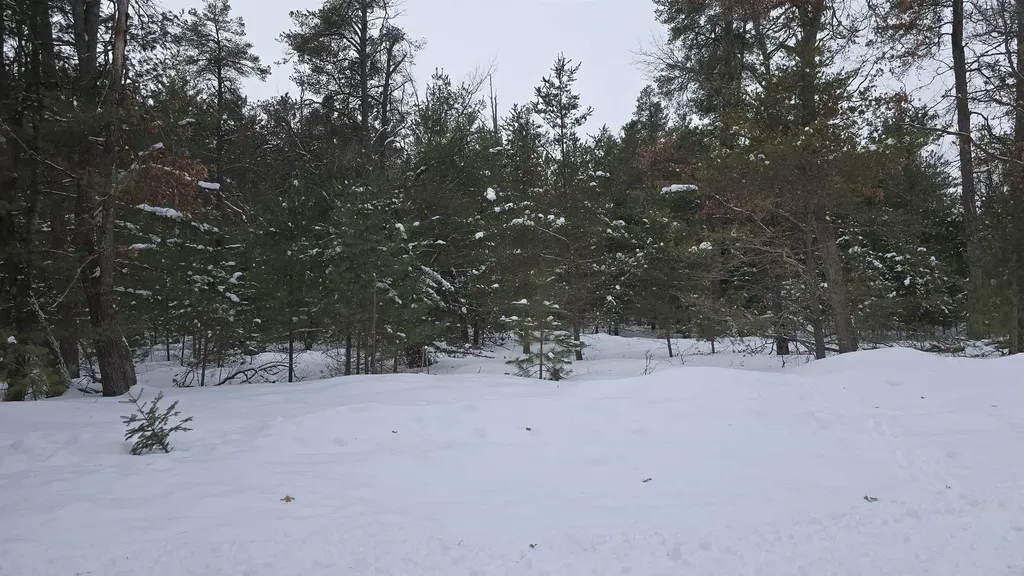 Ville Longfield Drive Greenwood Township MI 49756