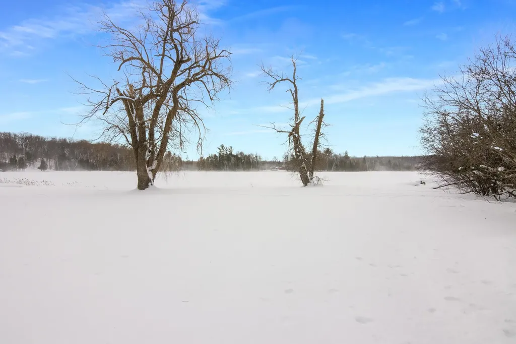 11641 Loon Lane Long Lake Township MI 49685