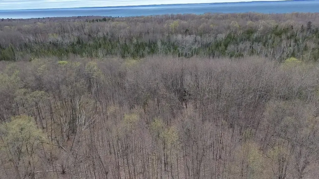 00 Kilkenny Lane Banks Township MI 49729