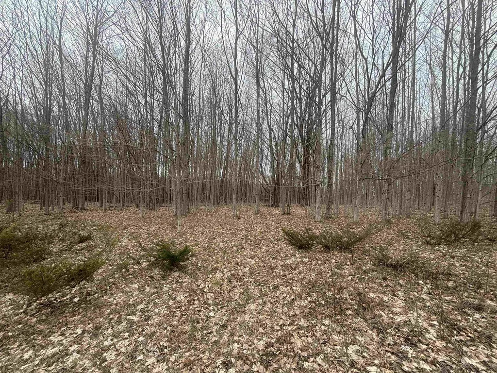 00 Kilkenny Lane Banks Township MI 49729