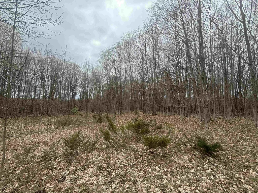 00 Kilkenny Lane Banks Township MI 49729