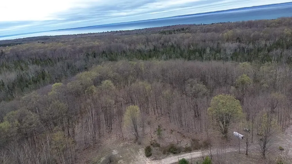 00 Kilkenny Lane Banks Township MI 49729