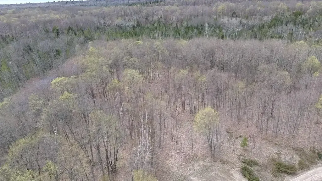 00 Kilkenny Lane Banks Township MI 49729