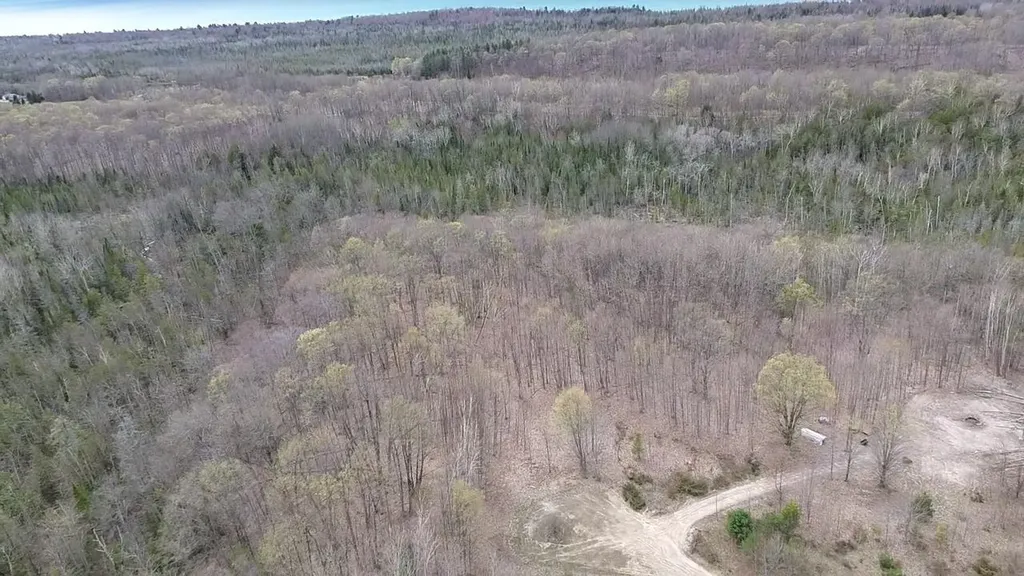 00 Kilkenny Lane Banks Township MI 49729