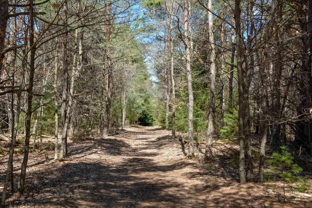 8616 Cedar Run Road Long Lake Township MI 49684
