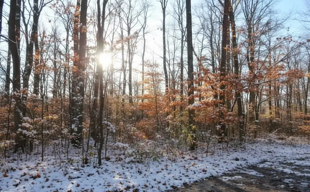4181 Maple Hill Road Blair Township MI 49637