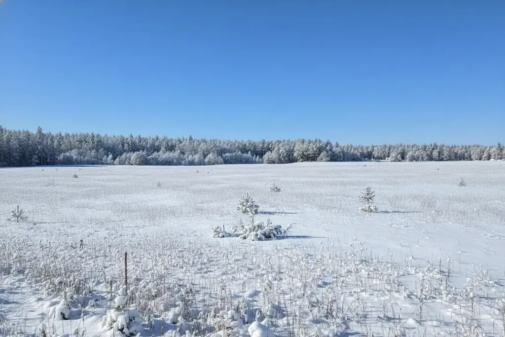 2946 Bowerman Road Paradise Township MI 49649