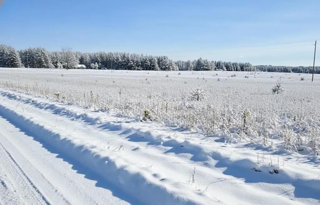 2946 Bowerman Road Paradise Township MI 49649