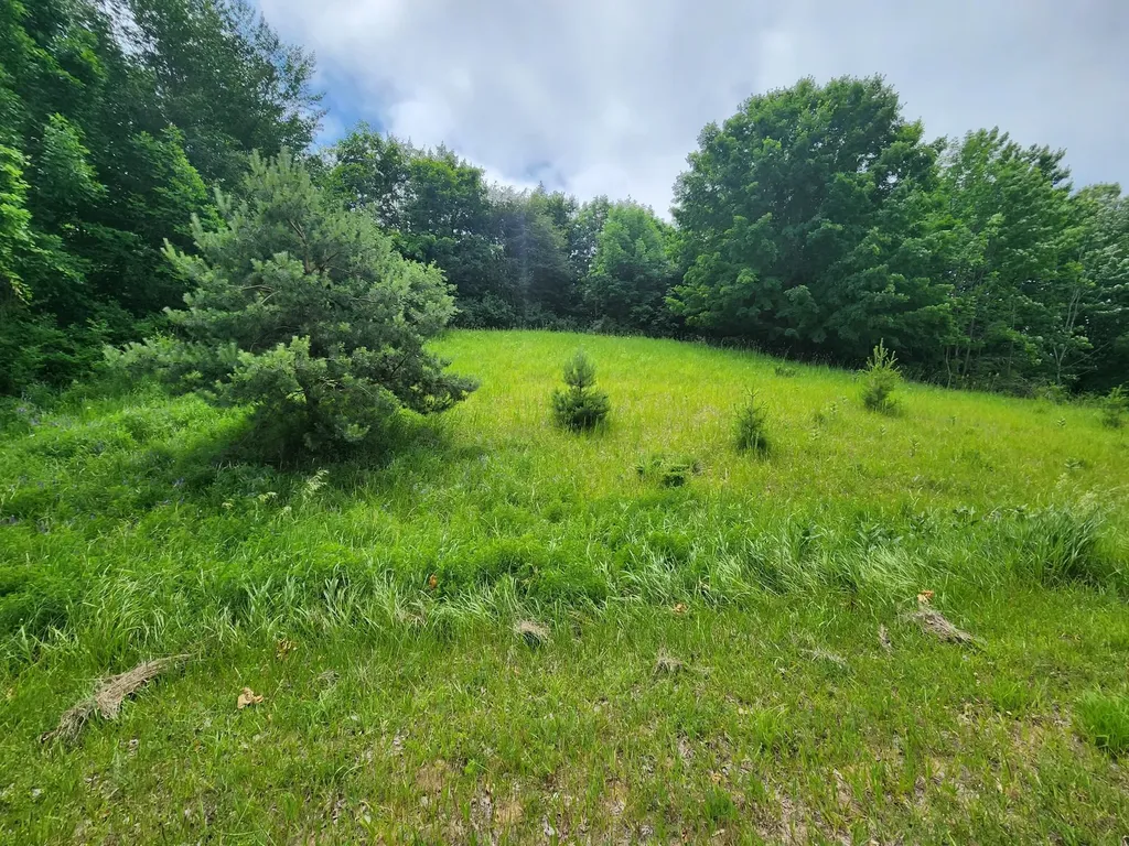 0000 Deer Ridge Trail Lake Township MI 49617