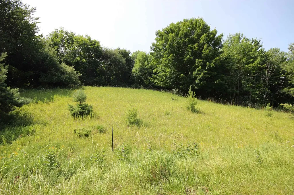 0000 Deer Ridge Trail Lake Township MI 49617
