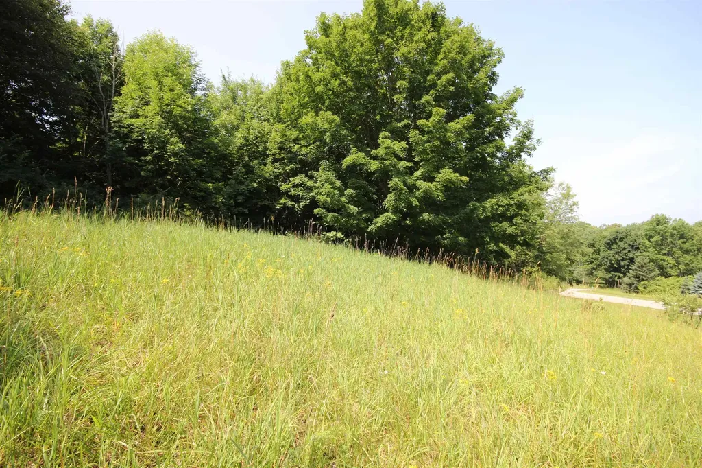 0000 Deer Ridge Trail Lake Township MI 49617