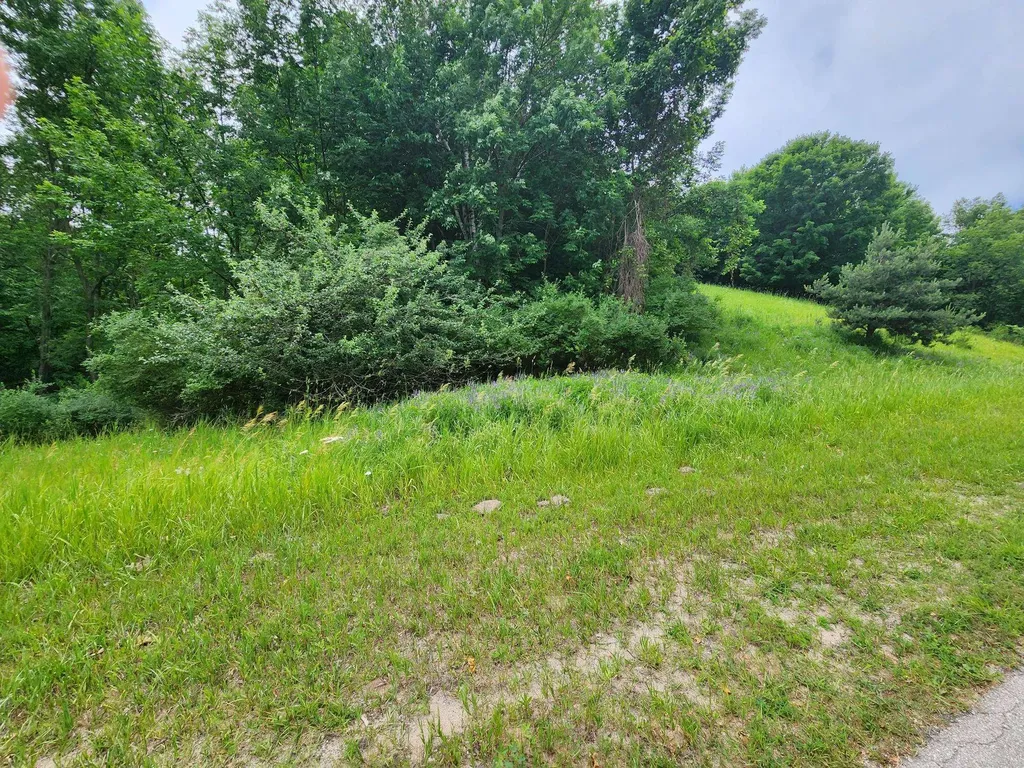 0000 Deer Ridge Trail Lake Township MI 49617