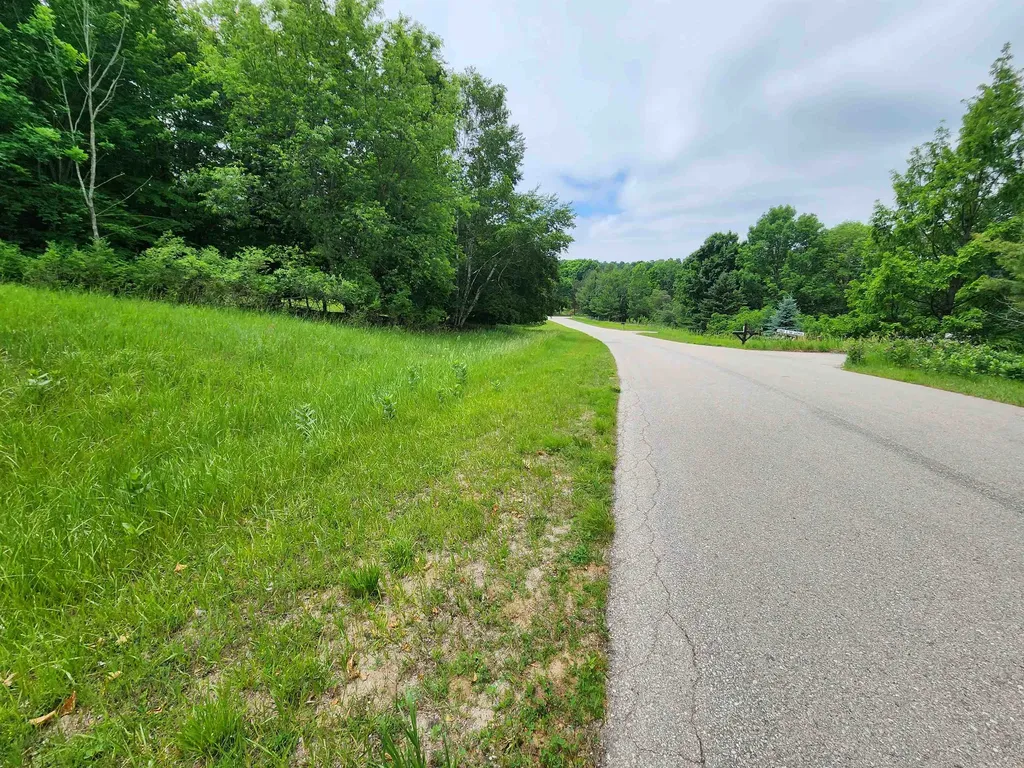 0000 Deer Ridge Trail Lake Township MI 49617