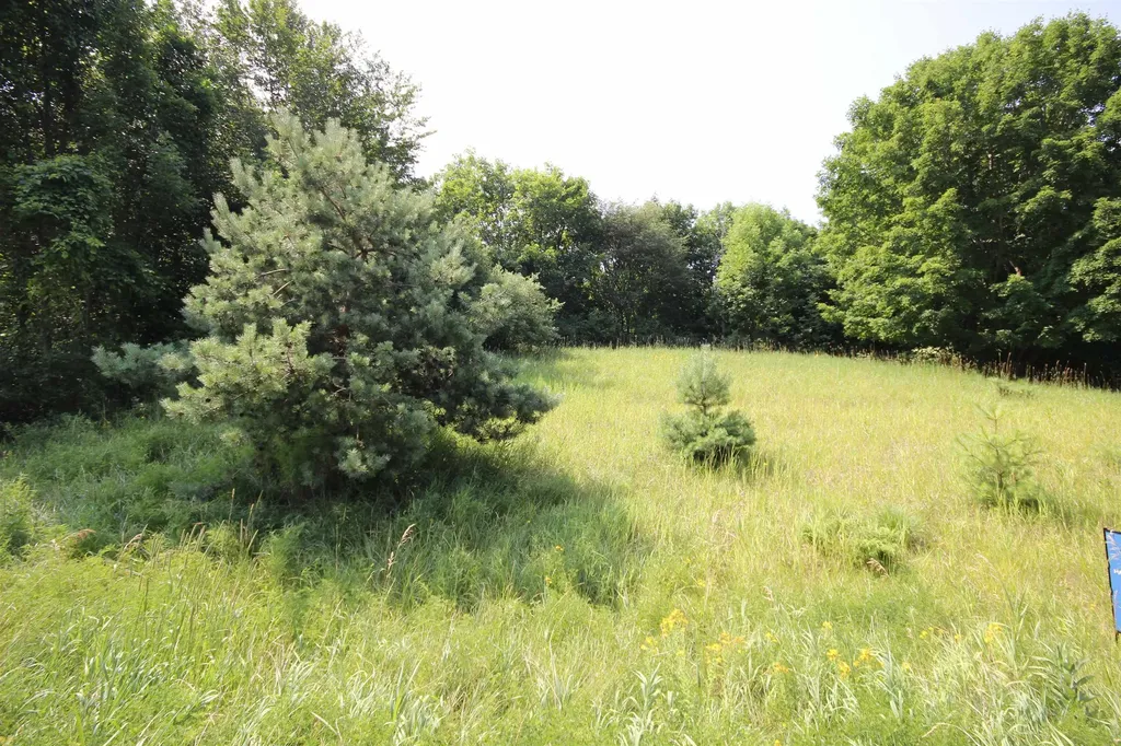 0000 Deer Ridge Trail Lake Township MI 49617