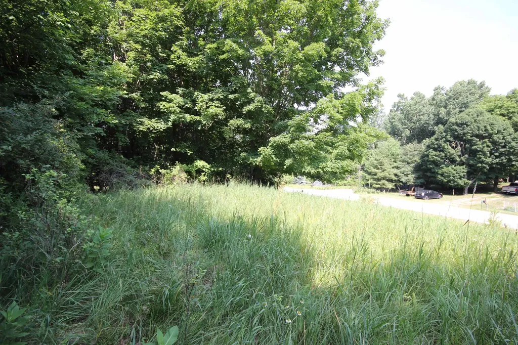 0000 Deer Ridge Trail Lake Township MI 49617